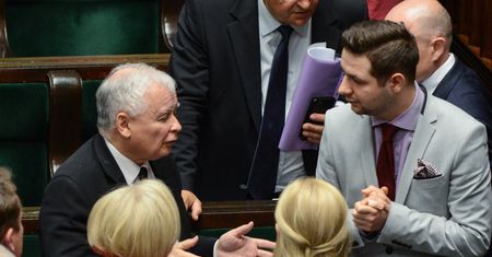 Jaki tłumaczy, jak było z kotem prezesa. "Nie było żadnej bury"