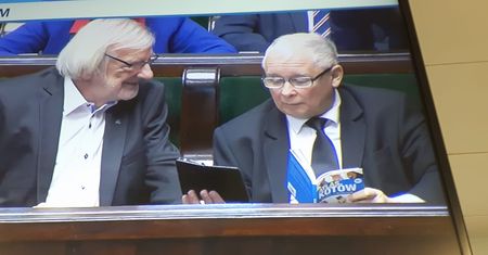 Znów głośno o kotach Jarosława Kaczyńskiego. "Dostawa do domu"
