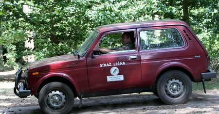 Straż leśna: jakie prawa ma względem kierowców?