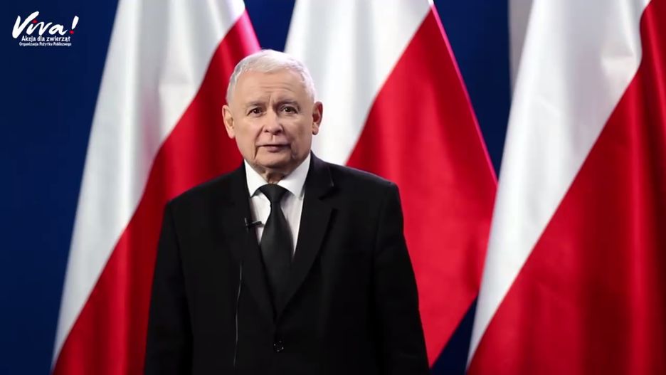 Jarosław Kaczyński jednoznacznie poparł zakaz hodowli zwierząt futerkowych.