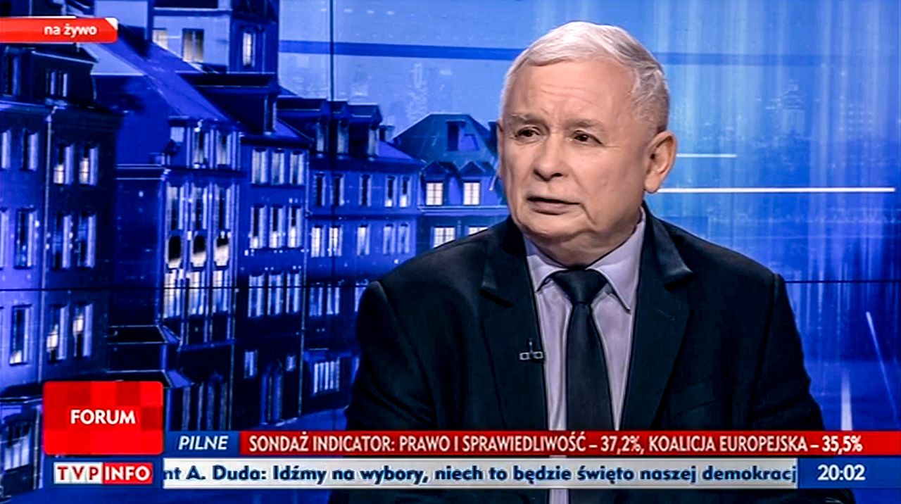 Wybory do europarlamentu 2019. Kaczyński komentuje słowa Schetyny: wypowiedź skandaliczna