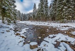 Tatry: drugi stopień zagrożenia lawinowego w górach