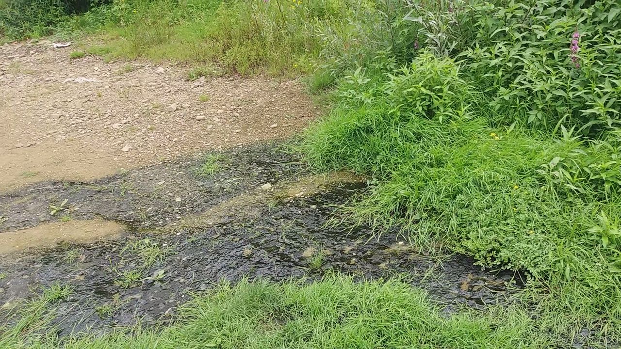 Ścieki nad Jeziorem Solińskim. Oburzona turystka nagrała film