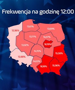 Wybory do Europarlamentu 2019. Frekwencja na godzinę 12. Rekord to mało powiedziane!