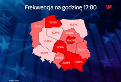 Wybory do Europarlamentu 2019. Rekordowa frekwencja. Prawie jedna trzecia Polaków oddała głos