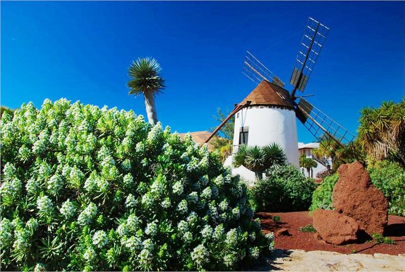 Fuerteventura. Słońce, spokój, wiatraki i tajemnice