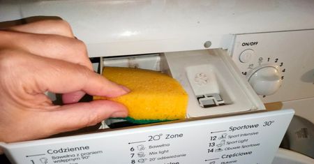 Włóż gąbkę do szuflady na detergenty i dodaj 1 składnik. Pleśń i brud znikną