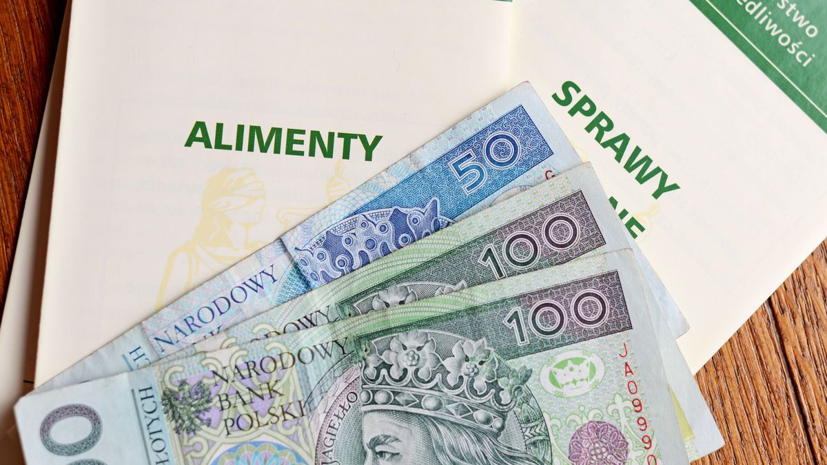 O jedną trzecią spadła liczba spraw przeciwko alimenciarzom