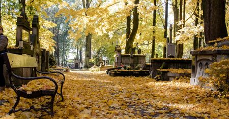 Wszystkich Świętych. Pogoda na długi weekend. Najnowsza prognoza
