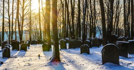 Strażacy budują w lasach sztuczne cmentarze. Mają dobry powód