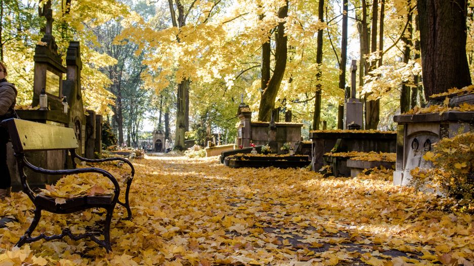 Jaka pogoda czeka nas na Wszystkich Świętych w tym roku?