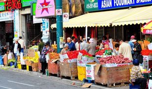 Dochód gwarantowany w Kanadzie. Ruszył pilotażowy program w Ontario