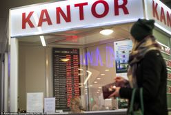 Bankowcy oczekują w lutym osłabienia złotego. Wzrosną kursy euro i dolara