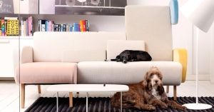 Meble do małego salonu: sofa