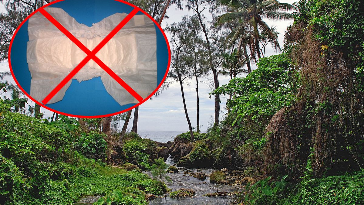 Republika Vanuatu jako pierwszy kraj na świecie wprowadziła całkowity zakaz używania pieluszek jednorazowych.