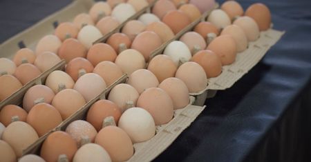 Przy zakupie jajek koniecznie zwróć uwagę na ten szczegół. Tylko tak wybierzesz dobrze