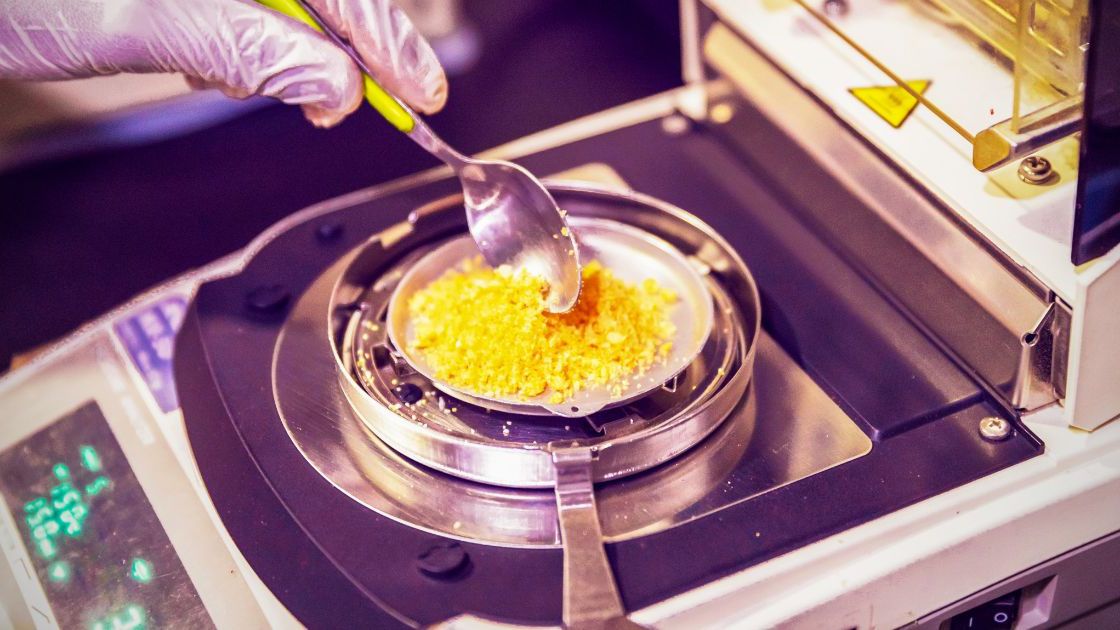 Sztuczne jedzenie - Pyszności/ źródło: Canva