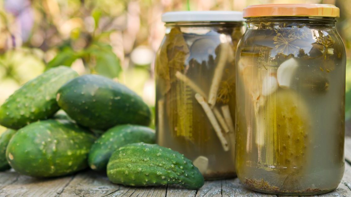 Ogórki kiszone z czosnkiem- Pyszności, źródło: Canva