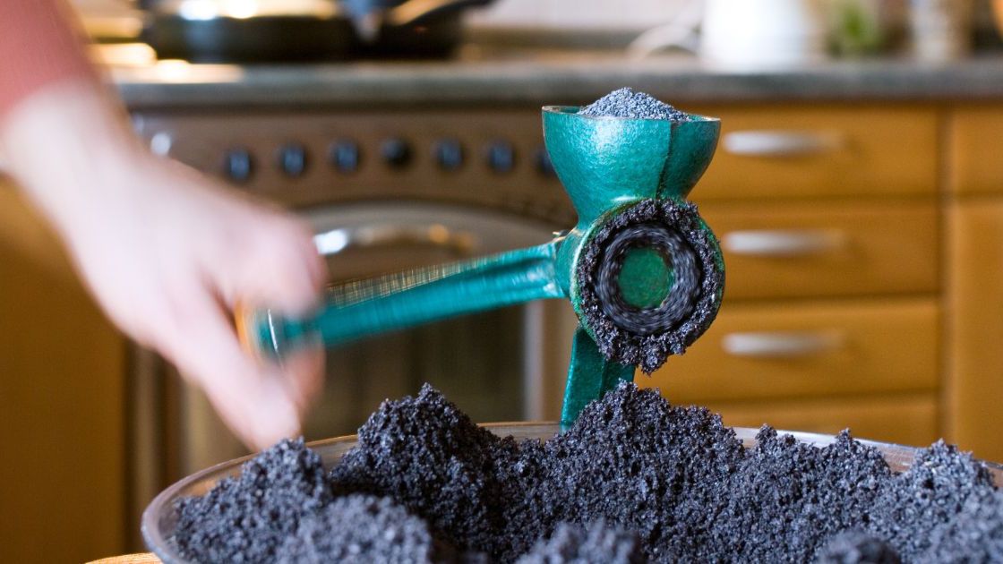 Jak uratować gorzki mak- Pyszności/ źródło: Canva