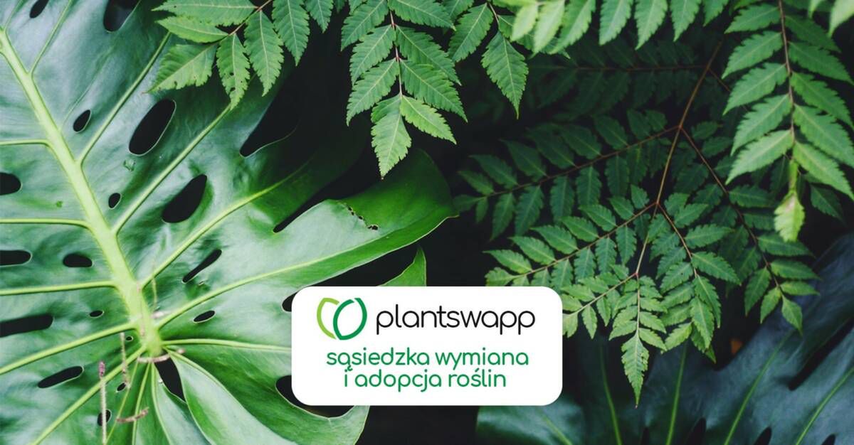 Plantswapp/Facebook