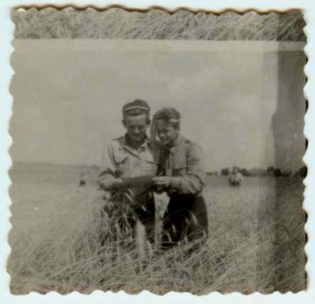 Obraz