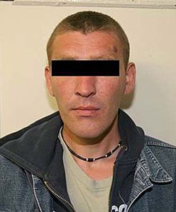 Pojechali na interwencję, znaleźli plantację marihuany