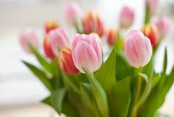 Dzień Matki 2019 – propozycje życzeń, rymowanek i wierszyków na Dzień Matki