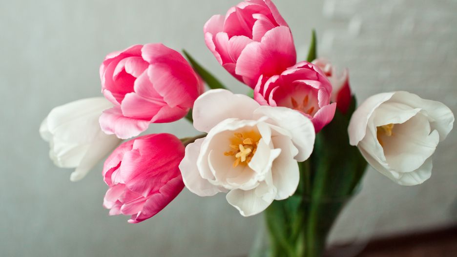 Dzień Matki 2019 - życzenia dla każdej mamy.