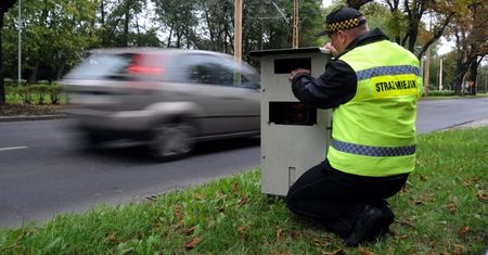 Jakie są uprawnienia strażnika miejskiego?