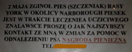 Obraz