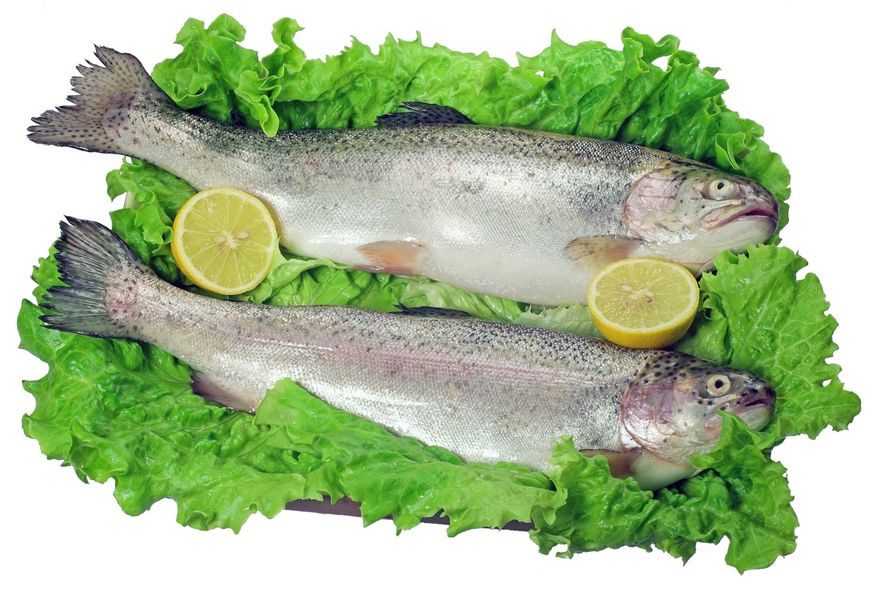 Ryby w diecie 