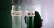 Fentanyl – najbardziej niebezpieczny narkotyk na świecie