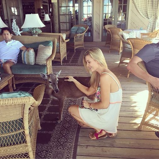 Joanna Krupa z jeleniem
Fotografia: Instagram.com