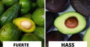 Awokado hass czy zielone? Które wybrać?