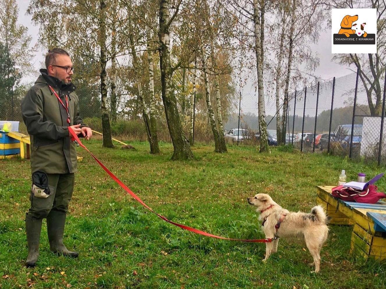 Bartek intensywnie trenuje z Rolandem 