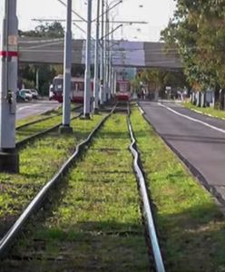 Niebezpieczny efekt upałów. Zdeformowane torowiska i opóźnione pociągi