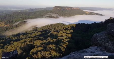 Chmury „płyną” nad australijskim lasem. Piękny timelapse nagrany o świcie