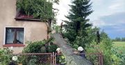Straty po nocnych burzach. W Opolu spadające drzewa uszkodziły wiele samochodów i dom jednorodzinny