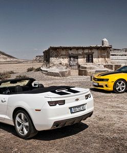 Polska nagroda dla Camaro