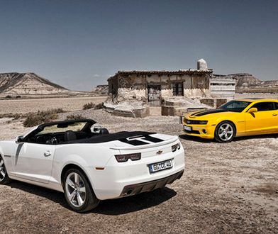 Polska nagroda dla Camaro