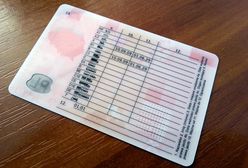 Te cyferki na prawie jazdy są niezwykle istotne