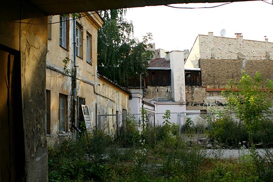 Obraz