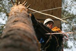 Policja: nie zbieramy informacji o ekologach