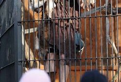Zamknęli się w klatce dla zwierząt