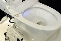 Oszukiwali na papierze toaletowym, zdefraudowali 0,5 mln euro