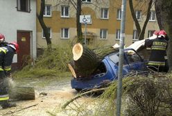 Szczęście w nieszczęściu