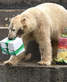 Urodziny w warszawskim zoo