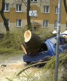 Szczęście w nieszczęściu