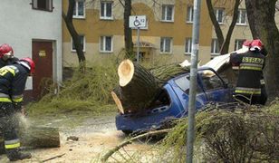 Szczęście w nieszczęściu