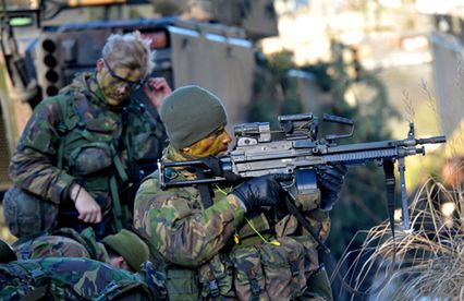 Pokaz kończący ćwiczenia Bison-17